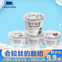 懒动 咖啡拉丝酸酪乳原味酸奶多口味水果酸奶云南农业大学联合出品 混合口味*12杯