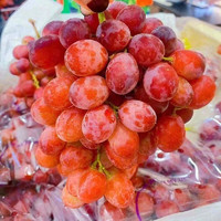 乡语小吖进口红提 1袋（3.5-4斤）提子葡萄玫瑰香孕妇新鲜水果 京东生鲜