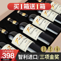 福蒂特娜红酒整箱 智利进口干红葡萄酒送礼礼盒装 中央山谷产区共计12瓶