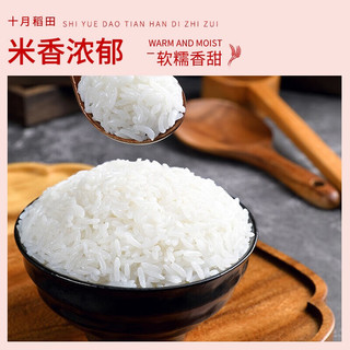 SHI YUE DAO TIAN 十月稻田 寒地之最 生态稻香米 5kg（东北大米 香米 5公斤）