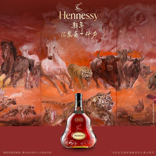 轩尼诗（Hennessy） 轩尼诗XO干邑白兰地兔年特别版礼盒700ml 双支装 法国进口洋酒Hennessy