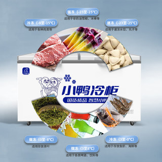 小鸭（XIAOYA) 商用冷柜超市家用大容量冷柜 全冷冻冷藏冰箱保鲜卧式冷柜 双门带锁+数显温控BC/BD-650MJ