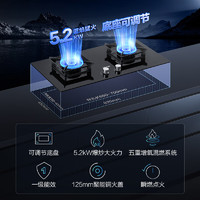 Haier 海尔 燃气灶天然气 家用双灶 5.2kw猛火灶