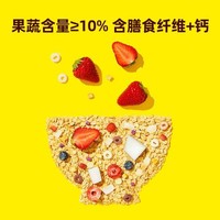 窝小芽 宝宝营养水果麦片 100g