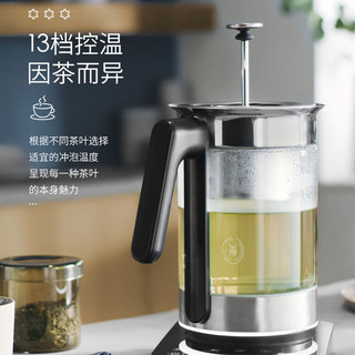 WMF德国福腾宝极光智能温控电茶壶家用电热水壶煮茶器不锈钢养生壶烧水壶防干烧电热水壶