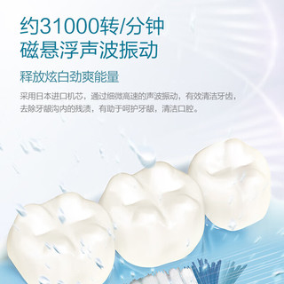 松下（Panasonic）电动牙刷 机身防水 适合敏感牙龈 3种可调节模式 小光环 EW-DC12-V405 白色（紫环） 520节日礼物