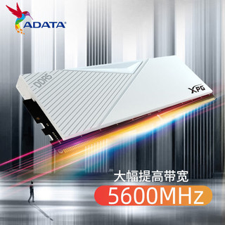 ADATA 威刚 XPG威龙-LANCER DDR5 5600 台式机内存条 32GB（16GB*2）套条