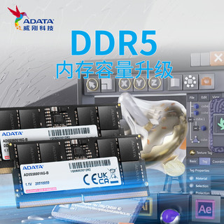 ADATA 威刚 16GB DDR5 5600 笔记本内存 万紫千红