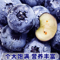 乡语小吖丹东蓝莓 8盒15mm125g/盒 应季新果现摘非野生孕妇水果顺丰 生鲜