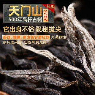 征集/天门山500年古树纯料普洱茶生茶云南书呆子茶叶茶饼生普饼茶