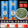 信阳原产毛尖茶叶2023年新茶 特级浓香型绿茶 明前头采嫩芽500g