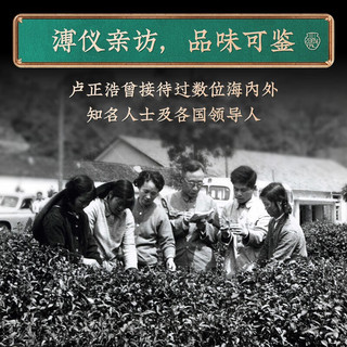卢正浩2023年新茶现货绿茶西湖龙井明前特级茶叶卡盒装30g 龙字特级试饮装 30g