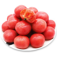 GREER 绿行者 桃太郎小粉番茄5斤单果50g起生吃西红柿新鲜蔬菜现摘