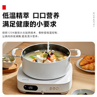 东芝 小雅家用迷你电磁炉多功能小型智能大功率炒菜锅具全套新款