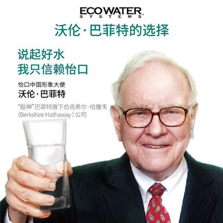 怡口净水（Ecowater）纯E系列家用净水器 反渗透过滤饮水机厨下净水机 800G智控ERO226-3