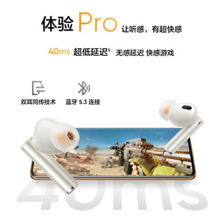 realme 真我 Buds Air5 Pro 入耳式真无线主动降噪蓝牙耳机