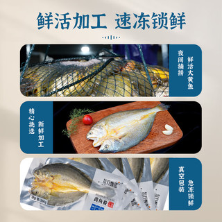 东方甄选 醇香黄鱼鲞 250g*5袋 共1250g 生鲜 海鲜水产 鱼 黄花鱼 5袋装 250g/袋