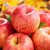 乡语小吖 陕西洛川红富士4.5-5斤中果 新鲜水果 当季 红富士苹果 脆甜生鲜