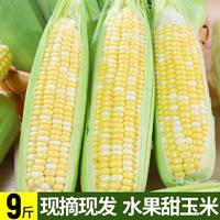 栗品优水果玉米 甜玉米云南鲜嫩水果玉米生鲜蔬菜可生吃 9斤装