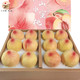 阳山 无锡阳山水蜜桃 单果4-5两12个礼盒装 净重4.8斤多