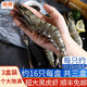 朵芙 黑虎虾 超大15cm  500g*3盒装