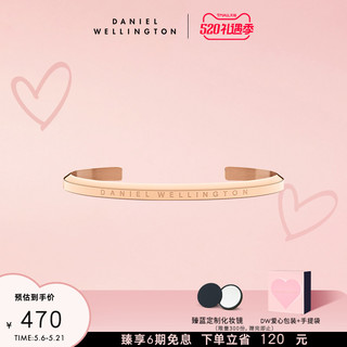 Daniel Wellington DanielWellington 丹尼尔惠灵顿 DW00400001 手表配饰手镯 金色大号