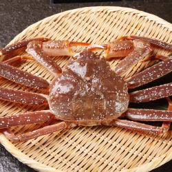 渔传播 同城速配 鲜活松叶蟹板蟹长脚蟹大螃蟹1.8斤*1只