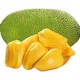 海南新鲜黄肉菠萝蜜   20-24斤
