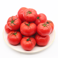 GREER 绿行者 透心红番茄 畅享果 5斤