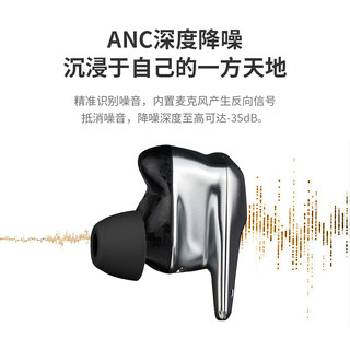 HIFIMAN 海菲曼 Svanar Wireless 入耳式真无线主动降噪蓝牙耳机 黑色