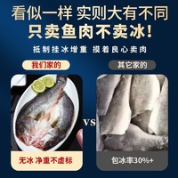 SuXian 速鲜 新鲜活冻三去开背白蕉海鲈鱼 生鲜海鱼海鲜水产去鳃去鳞去内脏 200-250g*6条（无冰款）