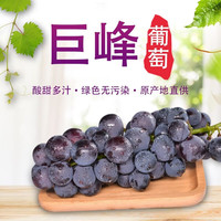 攸竹东北巨峰葡萄 北镇辽峰大葡萄孕妇新鲜水果特产大葡萄 5斤 一级超大果 手提礼盒装