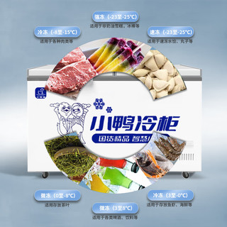 小鸭(XIAOYA)商用冰柜大容量超市家用卧式冷柜小型双温冷藏冷冻柜冰柜家用 450型 数显温控 双温冷藏+冷冻