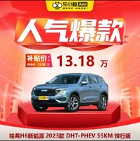 HAVAL 哈弗 H6新能源 2023款 DHT-PHEV 55KM 悦行版