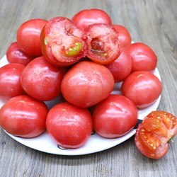GREER 绿行者 粉番茄西红柿 2.5kg