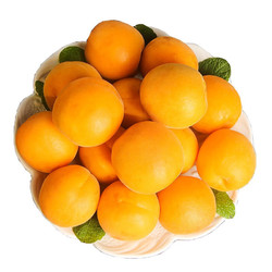 金太阳大黄杏 2.5斤