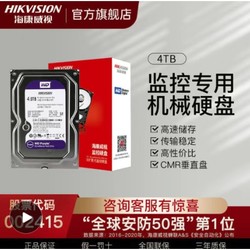 紫盘 垂直盘机械硬盘 4TB 海康定制版