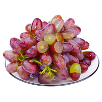 乡语小吖现摘茉莉香葡萄 4斤 薄皮多汁玫瑰香葡萄红提子 当季新鲜水果生鲜