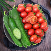 乡语小吖 山东黄瓜圣女果5斤组合装 新鲜蔬菜水果 现摘青瓜 小番茄 生鲜