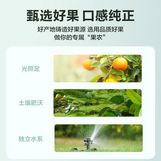 汇源 100%果汁1L*2盒橙汁苹果汁装果汁饮料混合口味尝鲜装 1L*2盒（桃汁+橙汁）