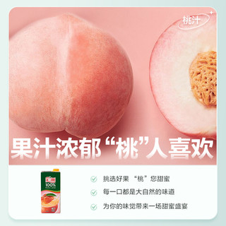 汇源 100%果汁1L*2盒橙汁苹果汁装果汁饮料混合口味尝鲜装 1L*2盒（桃汁+橙汁）