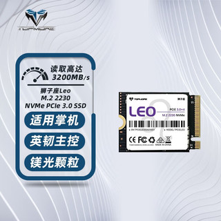 TOPMORE 达墨 Leo狮子座2230固态硬盘3.0 512G NVMessd笔记本台式机m2PCIe高速硬盘颗粒 512GB