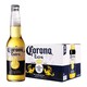 Corona 科罗娜 墨西哥进口科罗娜啤酒330ml*24瓶科罗娜精酿小麦11.3度