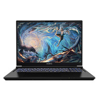 COLORFUL 七彩虹 将星X16Pro 十三代酷睿版 16.0英寸 游戏本 黑色（酷睿i9-13900H、RTX 4060 8G、16GB、512GB SSD、2.5K、IPS、240Hz）