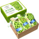 水果蔬菜  新鲜阳光玫瑰串装礼盒装   3斤大果【单果约8g左右】