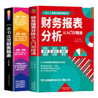 《财务报表分析从入门到精通+一本书读懂财务报表》（套装共2册）