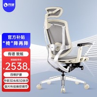 ERGOUP 有谱 致炫 靠背椅电竞椅办公椅椅子智能舒适网布电脑椅科技感椅