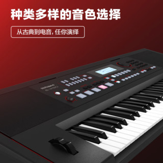 Roland 罗兰 E-X50 电子琴 61键 黑色 官方标配