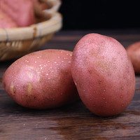 乡语小吖 云南红皮土豆5斤装（大果）新鲜蔬菜 红皮黄心洋芋 马铃薯 生鲜