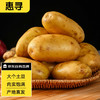 惠寻 京东自有品牌 红皮黄心土豆净重800g+ 带箱2斤 新鲜土豆马铃薯